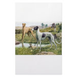 Greyhound stationery