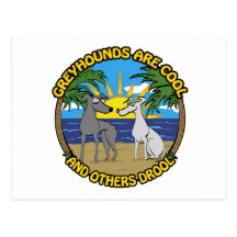 GREYHOUNDS ARE COOL AND OTHERS DROOL POSTCARD