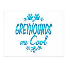 Greyhounds are Cool Postcard