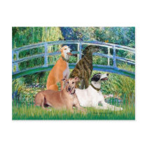 Greyhounds (four) - Bridge Postcards