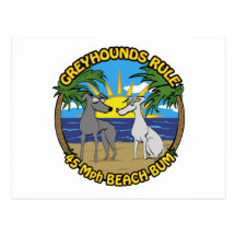 GREYHOUNDS RULE 45 Mph BEACH BUM Postcards