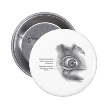 Greys Anatomy Eye Pinback Buttons