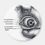 Grey's Anatomy — eyeball Refrigerator Magnets