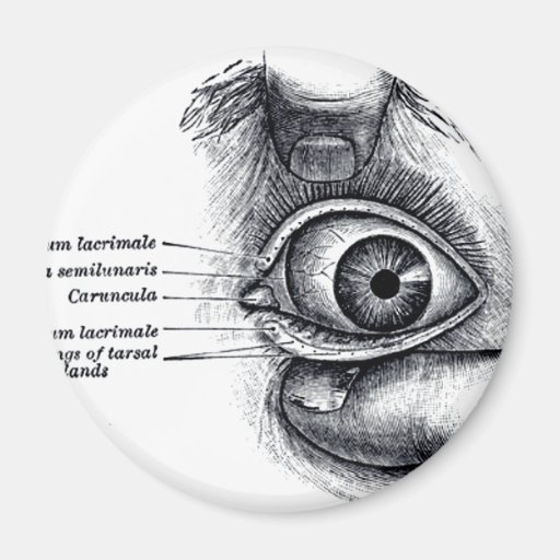 Grey's Anatomy — eyeball Refrigerator Magnets