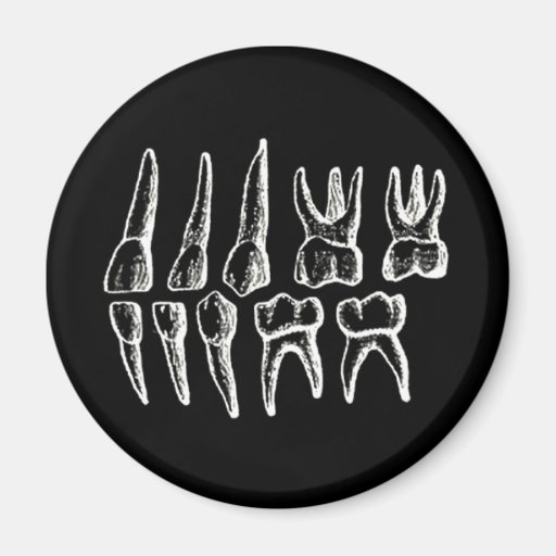 Grey's Anatomy — teeth Magnet
