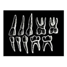 Grey's Anatomy — teeth Postcards