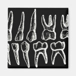 Grey's Anatomy — teeth Refrigerator Magnet