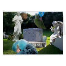 Grieving pet owner sympathy Greeting Card birds