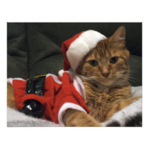 Griffes de Père Noël Faire-parts