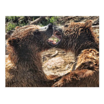Grin And Bear It Post Card