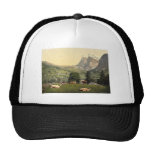 Grindelwald, cows in pasture, Bernese Oberland, Sw Trucker Hat