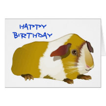 Grinning Guinea Pig Birthday Cards
