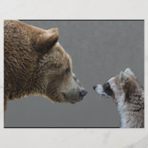 Grizzle Bear Meets Raccoon Custom Flyer