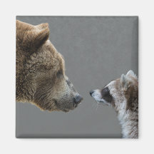 Grizzle Bear Meets Raccoon Fridge Magnets