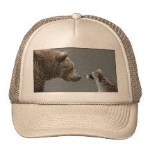 Grizzle Bear Meets Raccoon Mesh Hat