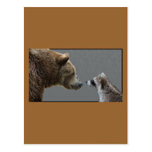 Grizzle Bear Meets Raccoon Postcard