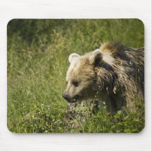 Grizzlies  Mouse Pad
