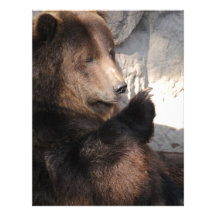 Grizzly Bear Boar Personalized Letterhead