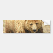 Grizzly Bear Bumper Sticker