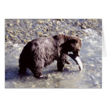 Grizzly bear catching a fish greeting card