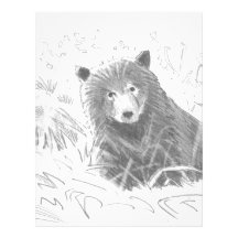 Grizzly Bear Cub Drawing Letterhead