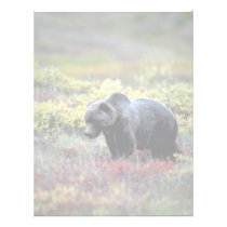 Grizzly Bear letterhead
