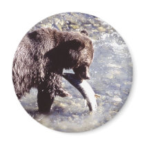 Grizzly Bear Eating a Salmon Fridge Magnets