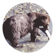 Grizzly Bear Eating a Salmon Sticker