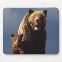 Grizzly Bear family Mousepad