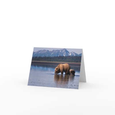 Grizzly Bear Notecard by davecardinal