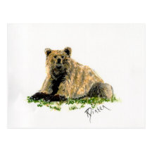 Grizzly Bear Post Card