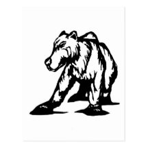 Grizzly Bear Post Card