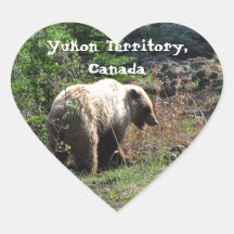 Grizzly Bear Smile; Yukon Territory, Canada Sticker