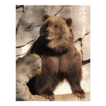 Grizzly Bear Sow Custom Letterhead