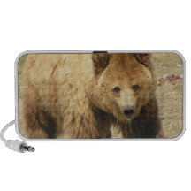 Grizzly Bear Speakers