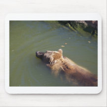 Grizzly Bear Swimming Mousepads
