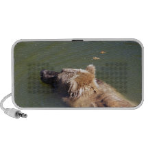 Grizzly Bear Swimming Speaker