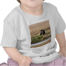 Grizzly Bear T Shirt