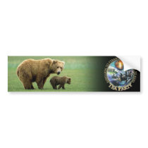 Grizzly Bear Tea Party Bumpersticker