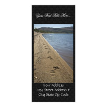 Grizzly bear tracks, Sithylemenkat Lake Rack Cards