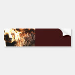 Grizzly Bear Watercolor Bumper Sticker