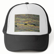 Grizzly bears, Denali National Park, Alaska Red fl Hat