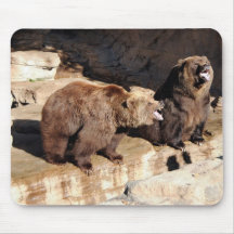 Grizzly Bears Mousepads
