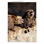 Grizzly Bears Yelling Greeting Cards