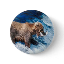 Grizzly Grabs Lunch Pinback Button