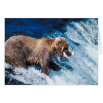 Grizzly Grabs Lunch Card