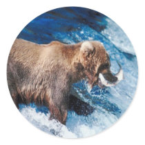 Grizzly Grabs Lunch Round Stickers