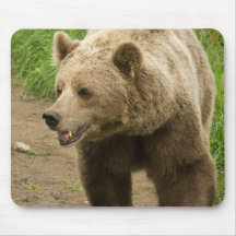Grizzly  Mouse Pad
