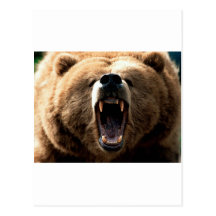 Grizzly Post Card