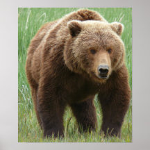 GRIZZLY POSTERS